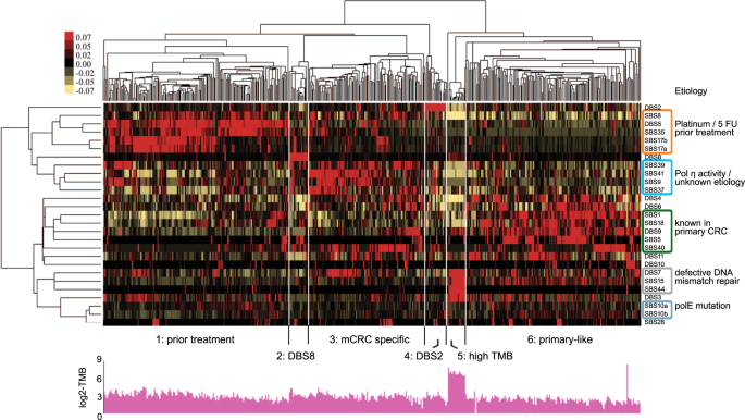 Fig. 5: Unsupervised hierarchical clustering of metastatic CRC using relative contribution of preselected mutational signatures.