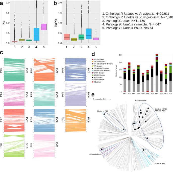 Comprehensive Genomic Resources Related To Domestication And Crop Improvement Traits In Lima Bean Nature Communications