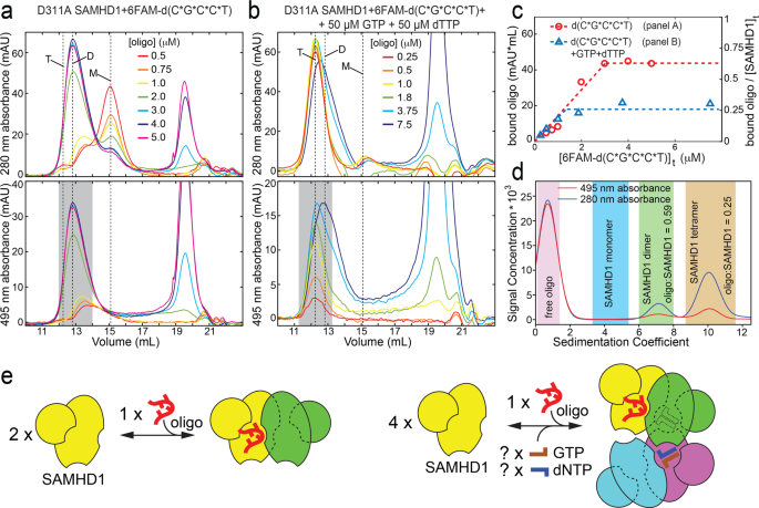 Nucleic Acid Binding By Samhd1 Contributes To The Antiretroviral Activity And Is Enhanced By The Gpsn Modification Nature Communications