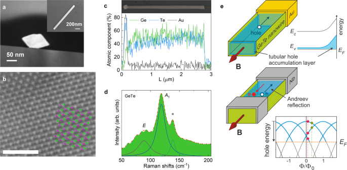 Fig. 1: Structural characterization and schematics of carrier transport.