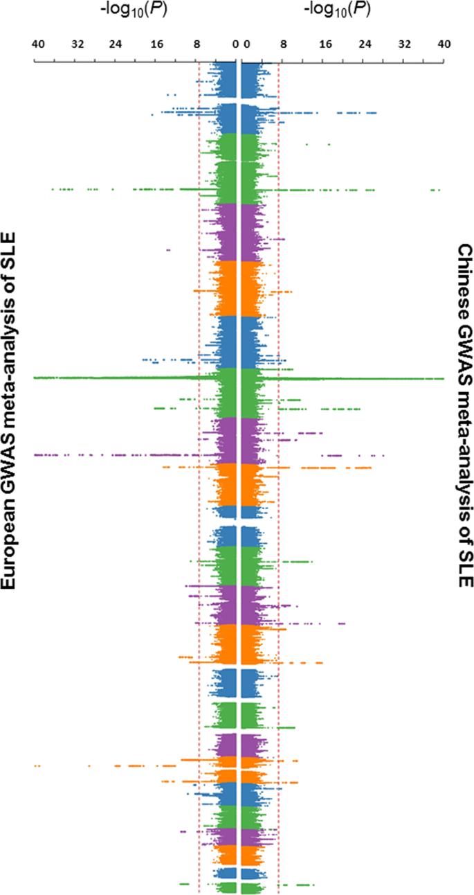 Identification Of 38 Novel Loci For Systemic Lupus Erythematosus And Genetic Heterogeneity Between Ancestral Groups Nature Communications