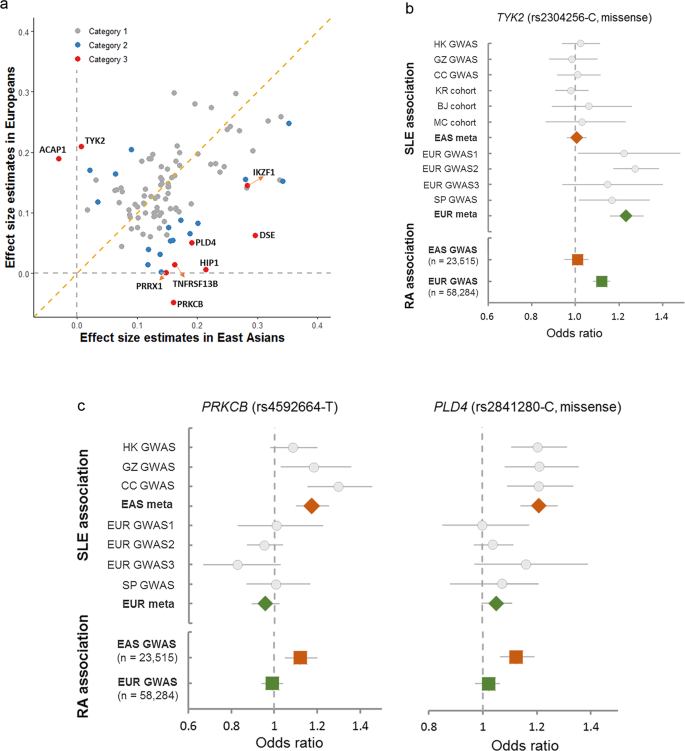 Identification Of 38 Novel Loci For Systemic Lupus Erythematosus And Genetic Heterogeneity Between Ancestral Groups Nature Communications