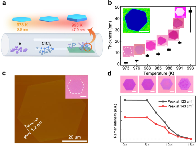 Fig. 1: Synthesis and characterization of 1T-CrTe2 single crystals on SiO2/Si substrates.