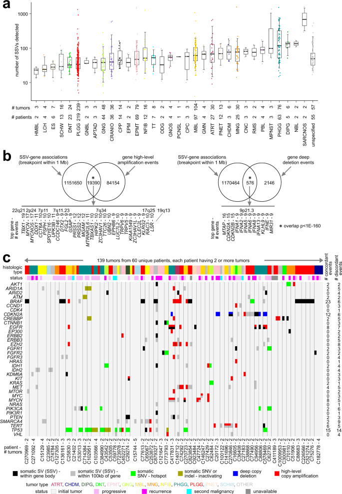 Genetic Mutations in Brain Tumors Could Turn Out Useful - Neuroscience News