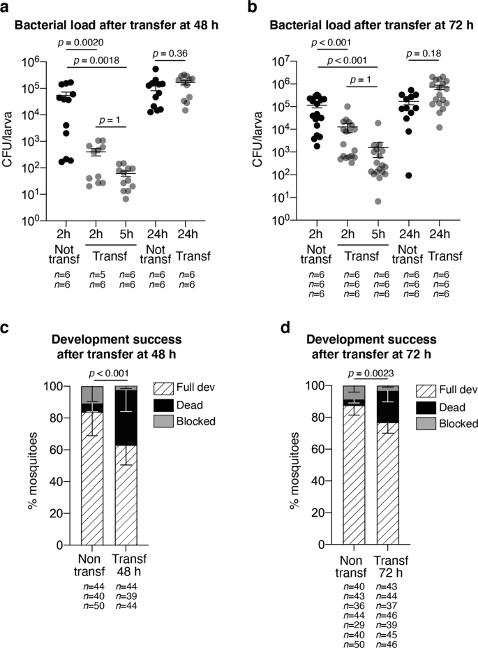 Production Of Germ Free Mosquitoes Via Transient Colonisation Allows Stage Specific Investigation Of Host Microbiota Interactions Nature Communications