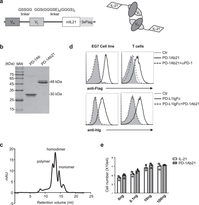 Fig. 1: Cloning, expression, and characterization of PD-1Ab and PD-1Ab21.