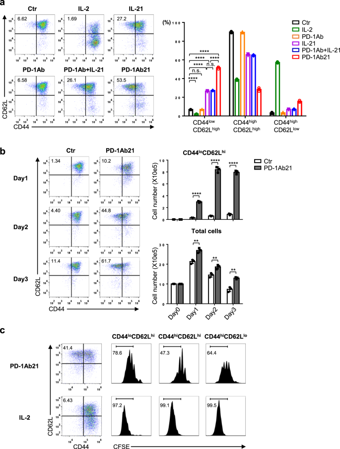 Fig. 2: PD-1Ab21 promotes the differentiation of naïve-like T cells from activated CD8+ T cells.