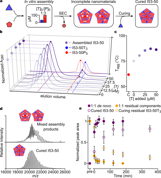 Fig. 5: Curing of incomplete I53-50 assemblies by post-assembly addition of trimer.