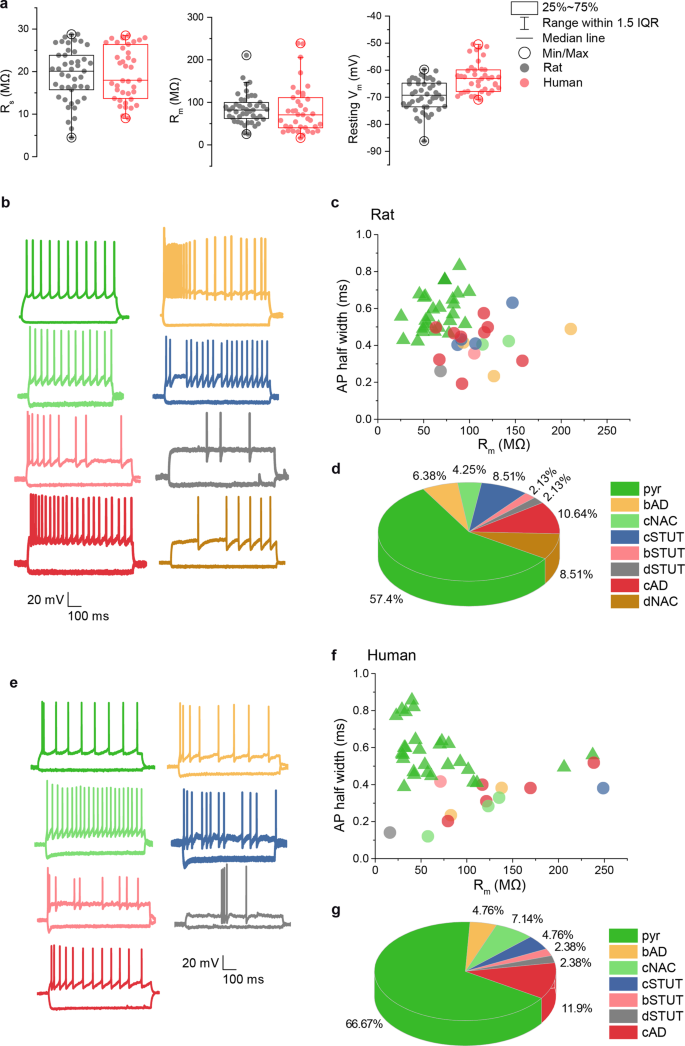 Fig. 6: Electrophysiological properties of the cells patched by DIGAP.