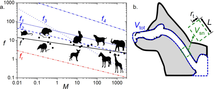Fig. 2: Biological sniffing.
