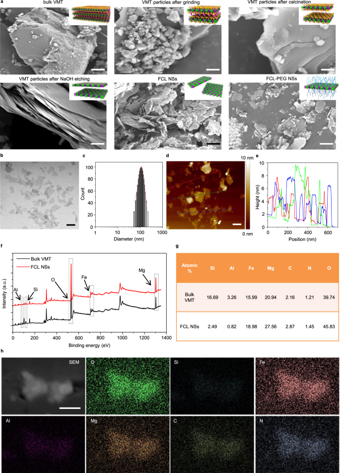 Capturing Functional Two Dimensional Nanosheets From Sandwich Structure Vermiculite For Cancer Theranostics Nature Communications