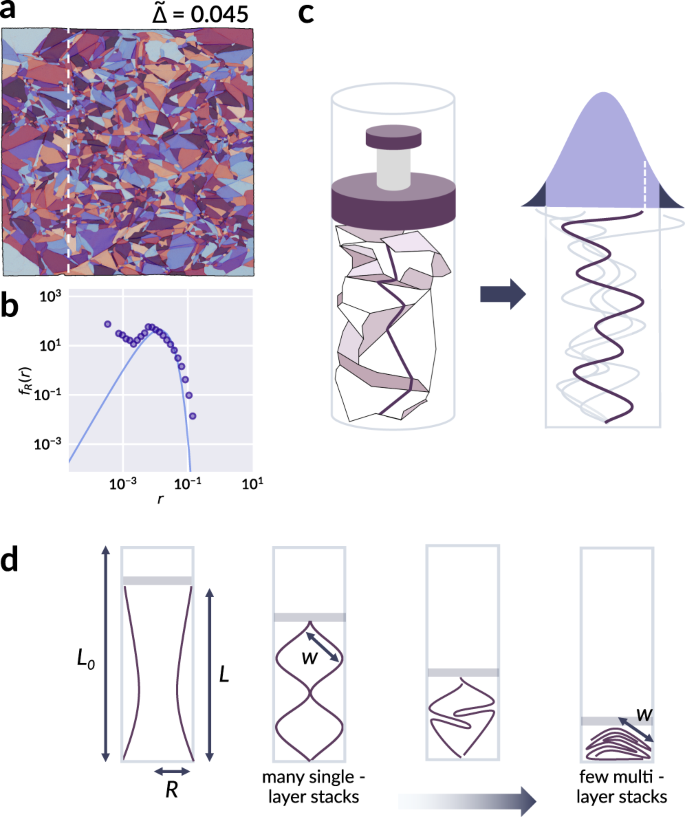 A Model For The Fragmentation Kinetics Of Crumpled Thin Sheets Nature Communications