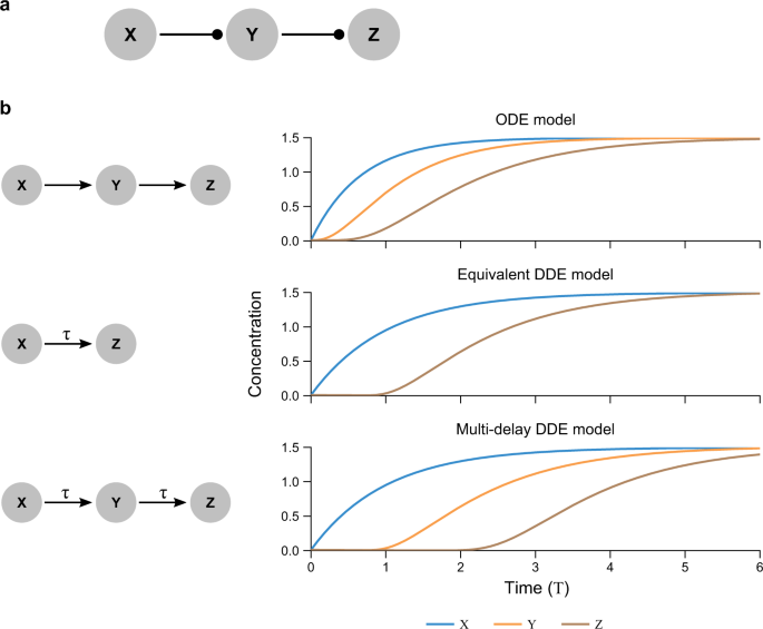 Nonlinear Delay Differential Equations And Their Application To Modeling Biological Network Motifs Nature Communications