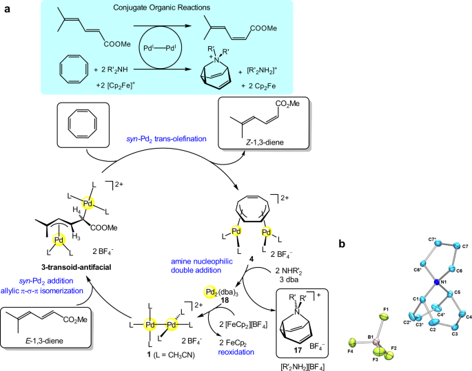 Selective E To Z Isomerization Of 1 3 Dienes Enabled By A Dinuclear Mechanism Nature Communications