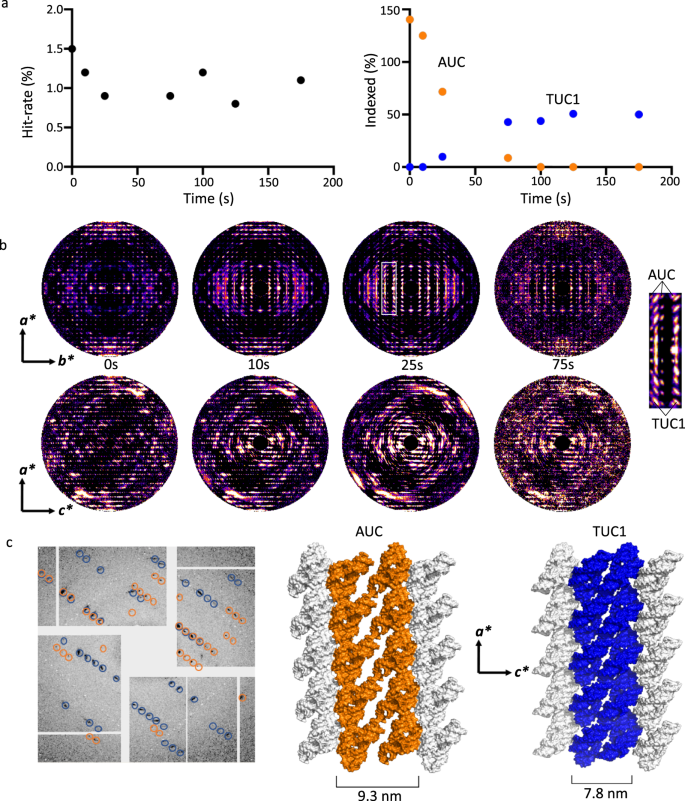 Fig. 3: Phase transition observed by time-resolved serial crystallography.