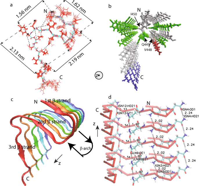 The Amyloid Structure Of Mouse Ripk3 Receptor Interacting Protein Kinase 3 In Cell Necroptosis Nature Munications