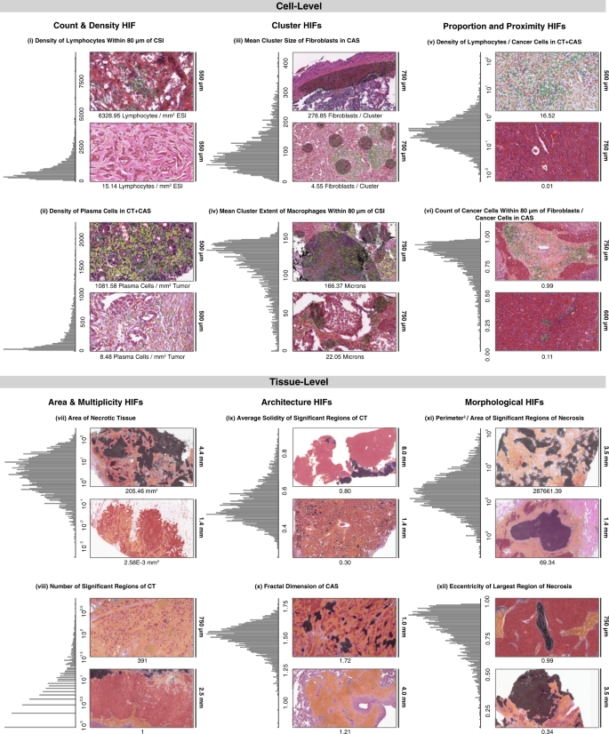 Fig. 3: Overview of HIFs.