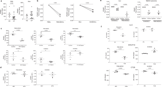 Fig. 1: IFNAR1 is downregulated in MDSCs.