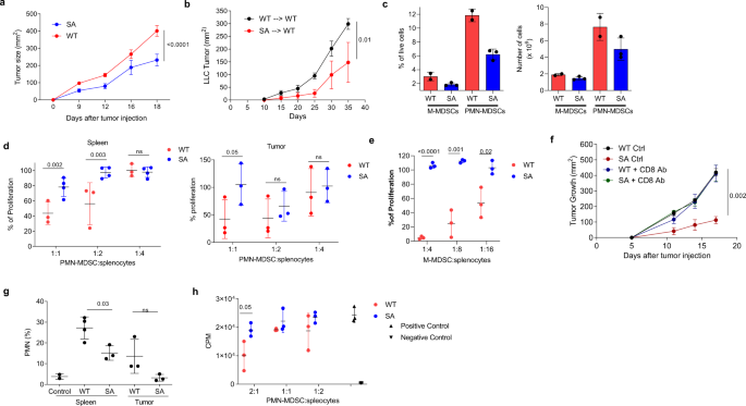 Fig. 3: Stabilization of IFNAR1 abrogates MDSCs immune suppressive activity.