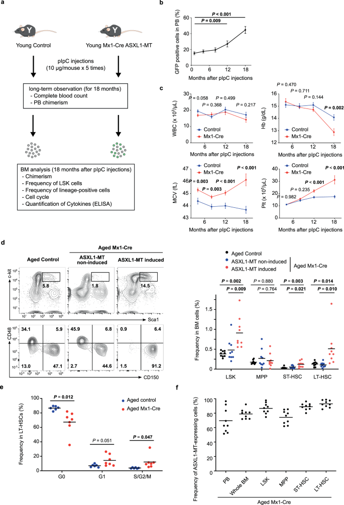 Mutant Asxl1 Induces Age Related Expansion Of Phenotypic Hematopoietic Stem Cells Through Activation Of Akt Mtor Pathway Nature Communications