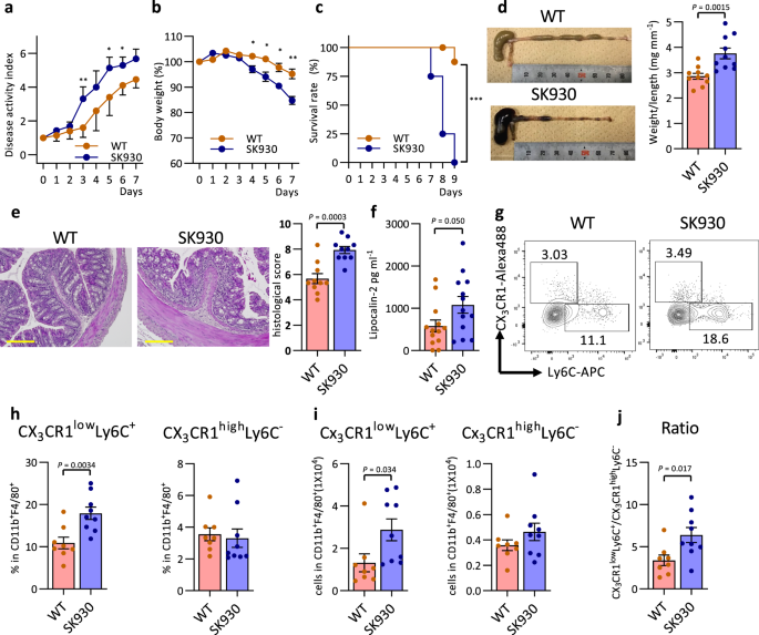 Fig. 5: Bacterial putrescine ameliorates DSS-induced colitis.
