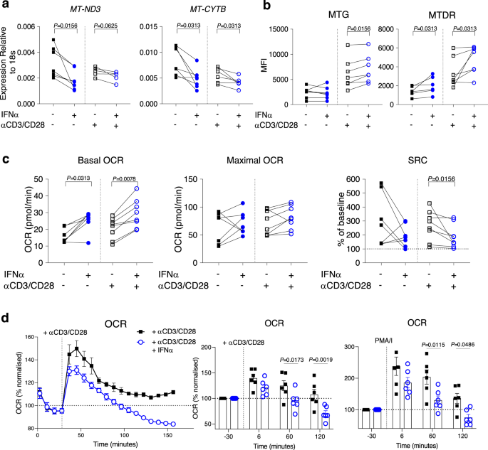 Type I Interferons Affect The Metabolic Fitness Of Cd8 T Cells From Patients With Systemic Lupus Erythematosus Nature Communications