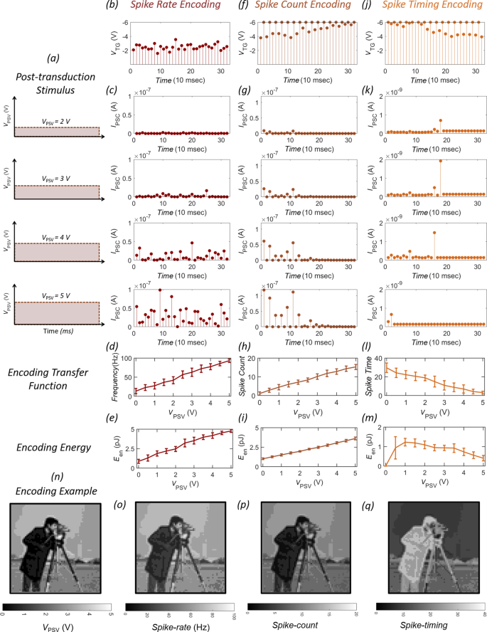 Fig. 3: Hardware realization of neural encoding algorithms.