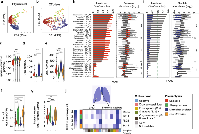 A Prevalent And Culturable Microbiota Links Ecological Balance To Clinical Stability Of The Human Lung After Transplantation Nature Communications