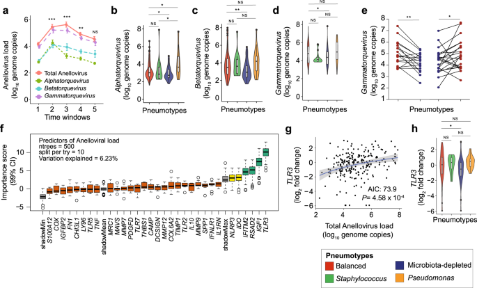 A Prevalent And Culturable Microbiota Links Ecological Balance To Clinical Stability Of The Human Lung After Transplantation Nature Communications