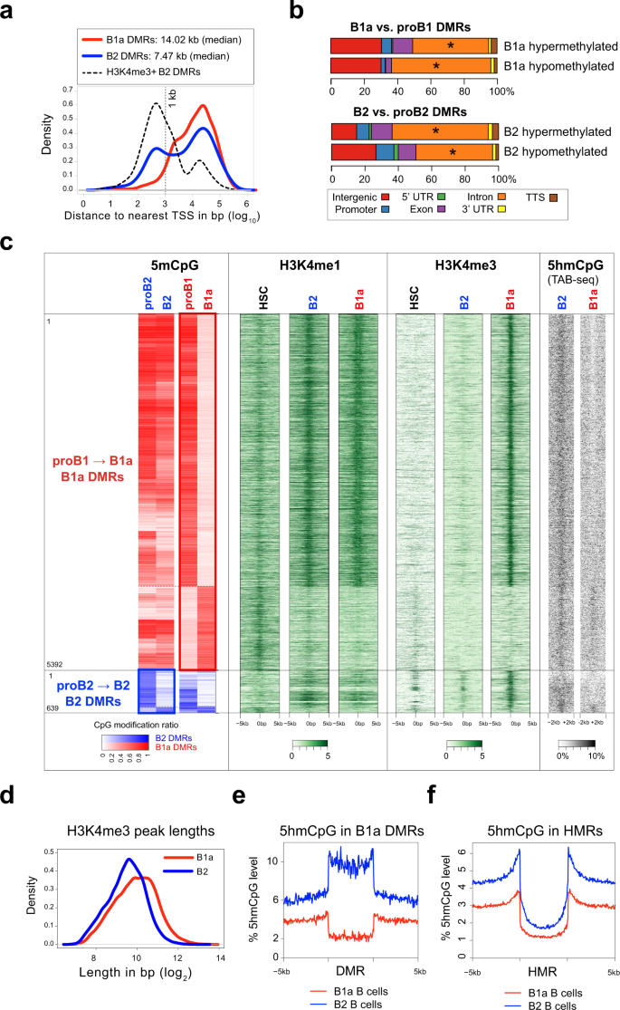 Fig. 2: Extensive loss of enhancer methylation during B1a cell development.
