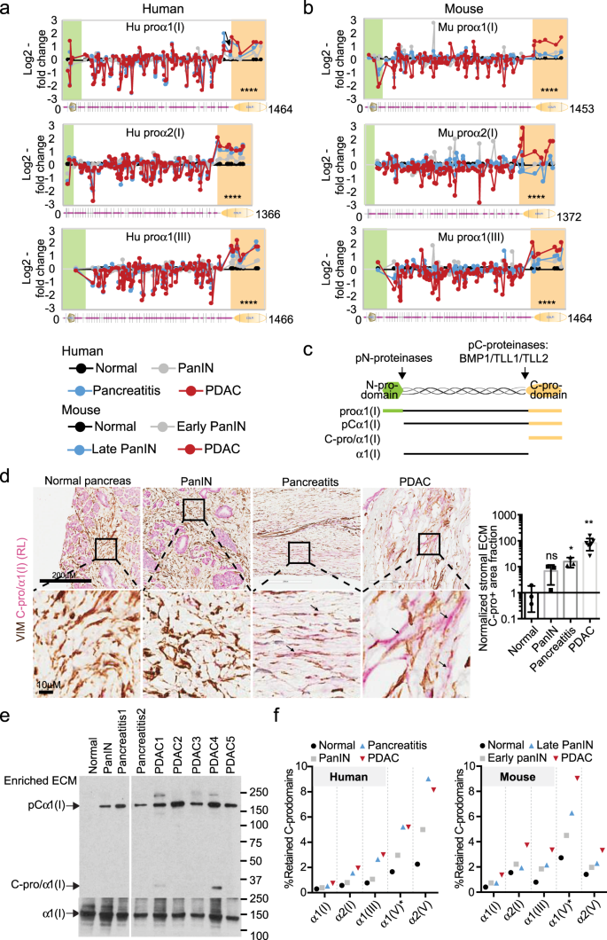 Suppression Of Pancreatic Ductal Adenocarcinoma Growth And Metastasis By Fibrillar Collagens Produced Selectively By Tumor Cells Nature Communications