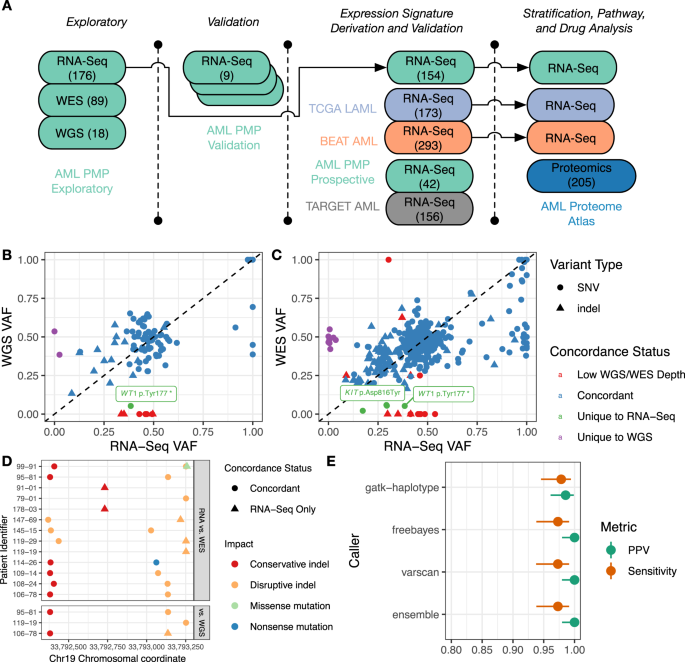 Fig. 1: Experimental overview and short nucleotide variant/indel analysis.
