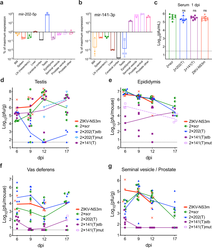 Fig. 1: Effect of miRNA target insertion on ZIKV replication in the MRS organs of adult AG129 mice.