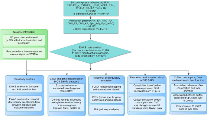 Fig. 1: Overview of the study flow.
