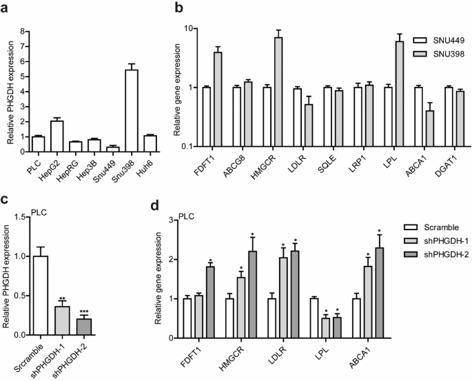 Fig. 4: PHGDH gene expression levels in liver cell lines and relative to expression levels of lipid-associated genes.