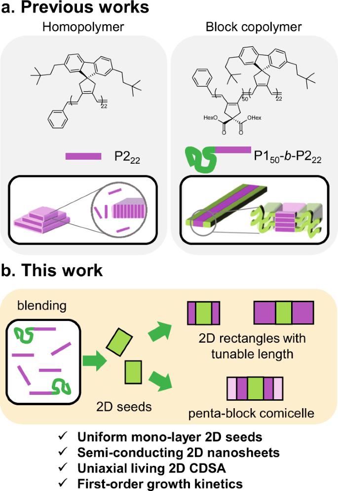Semi Conducting 2d Rectangles With Tunable Length Via Uniaxial Living Crystallization Driven Self Assembly Of Homopolymer Nature Communications Semi Conducting 2d Rectangles With Tunable Length Via Uniaxial Living Crystallization Driven Self Assembly Of Homopolymer Nature Communications