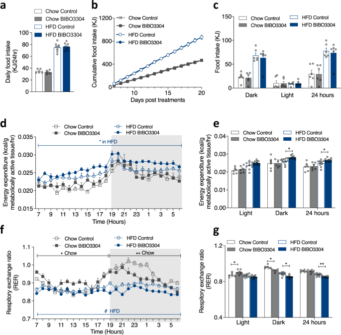 Fig. 2: Effect of peripheral Y1R antagonism on food intake and energy expenditure in wild-type mice.