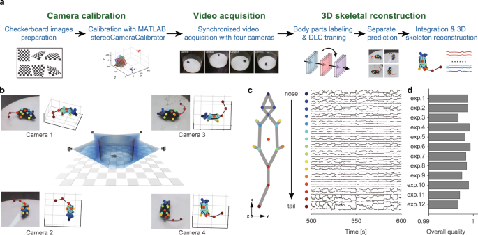 A hierarchical 3D-motion learning framework for animal spontaneous behavior  mapping | Nature Communications
