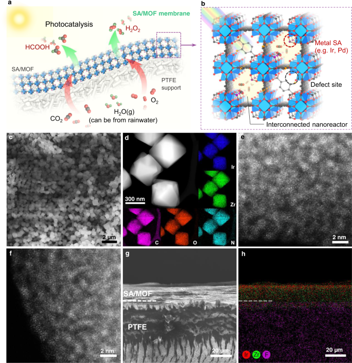 Fig. 1: Schematic illustration and structural characterization of the SA/MOF membranes.