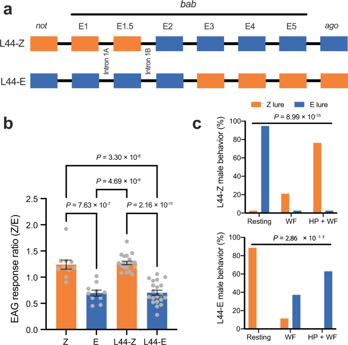 Fig. 2: Electrophysiological and behavioral analysis of bab-recombinant lines.