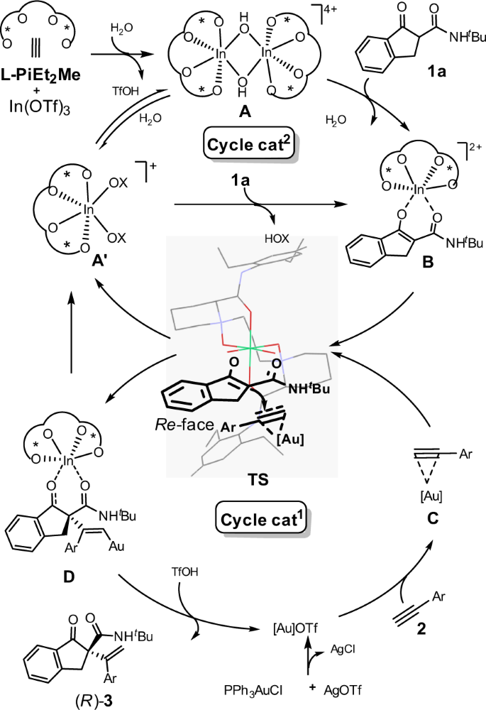 Catalytic Asymmetric Nakamura Reaction By Gold I Chiral N Nʹ Dioxide Indium Iii Or Nickel Ii Synergistic Catalysis Nature Communications
