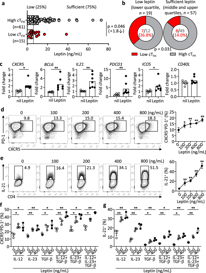 The Metabolic Hormone Leptin Promotes The Function Of T Fh Cells And Supports Vaccine Responses Nature Communications