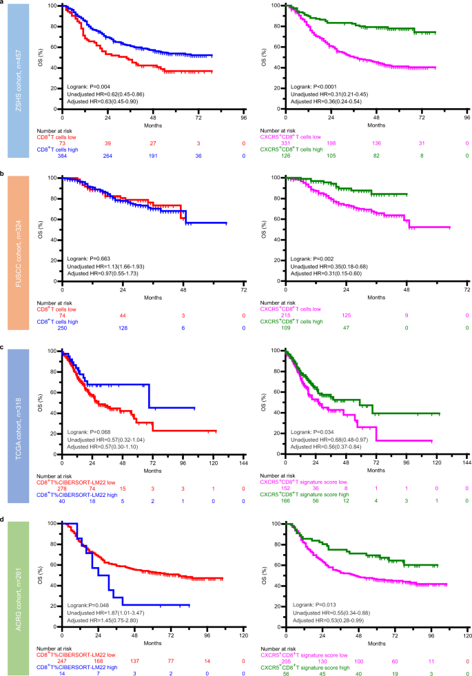 Intratumoral Cxcr5 Cd8 T Associates With Favorable Clinical Outcomes And Immunogenic Contexture In Gastric Cancer Nature Communications