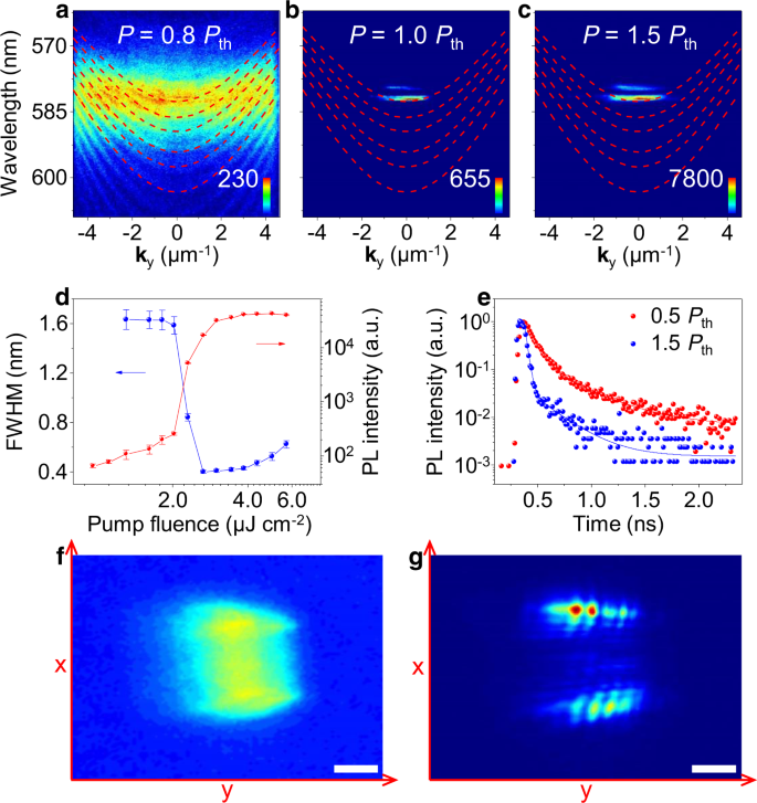 Room temperature exciton–polariton Bose–Einstein condensation in organic  single-crystal microribbon cavities | Nature Communications