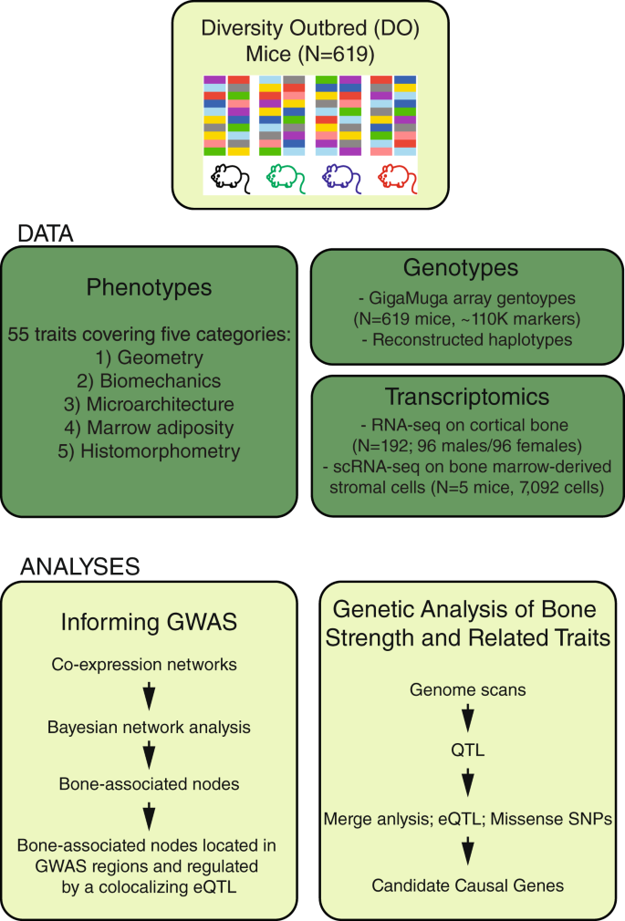 Fig. 1: Resource overview.