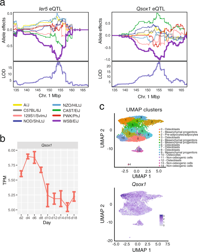Fig. 7: Characterization of Qsox1.