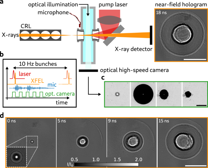 Fig. 1: Holographic imaging of cavitation at the MID instrument.