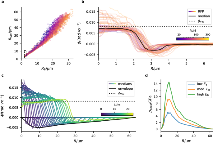 Fig. 4: Cavitation dynamics.