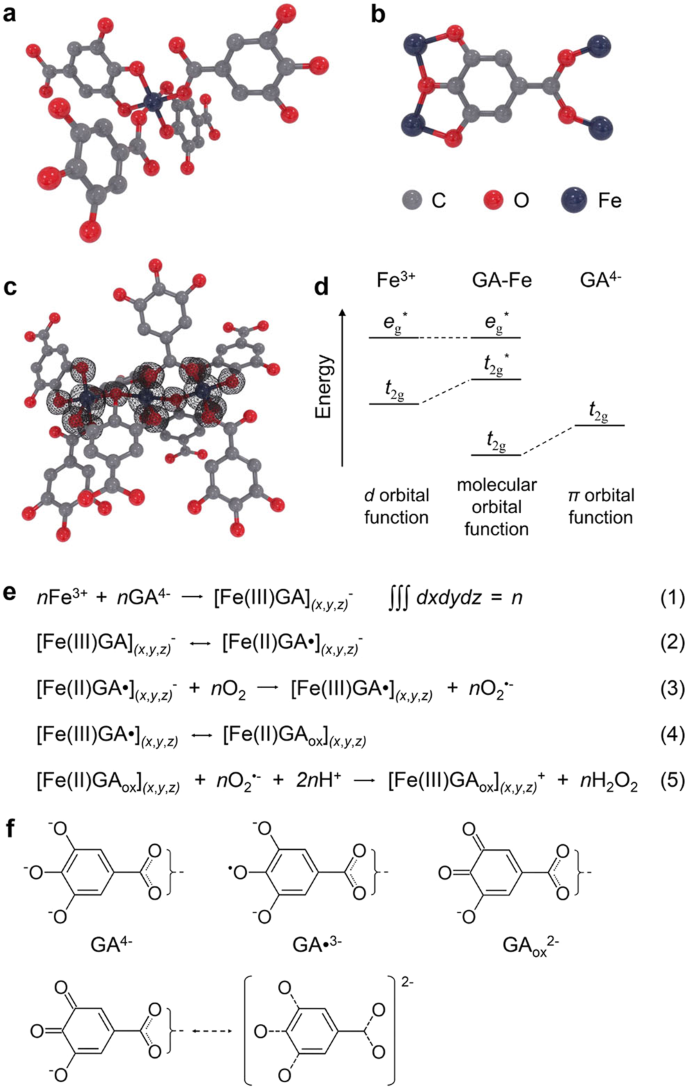 Intratumoral Synthesis Of Nano Metalchelate For Tumor Catalytic Therapy By Ligand Field Enhanced Coordination Nature Communications