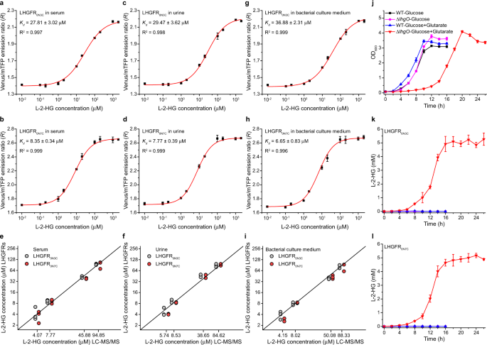 An L 2 Hydroxyglutarate Biosensor Based On Specific Transcriptional Regulator Lhgr Nature Communications An L 2 Hydroxyglutarate Biosensor Based On Specific Transcriptional Regulator Lhgr Nature Communications